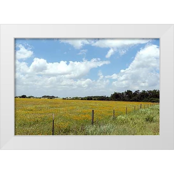 Highsmith, Carol 24x17 White Modern Wood Framed Museum Art Print Titled - A field of wildflowers near Chappel Hill in Austin County, TX, 2014