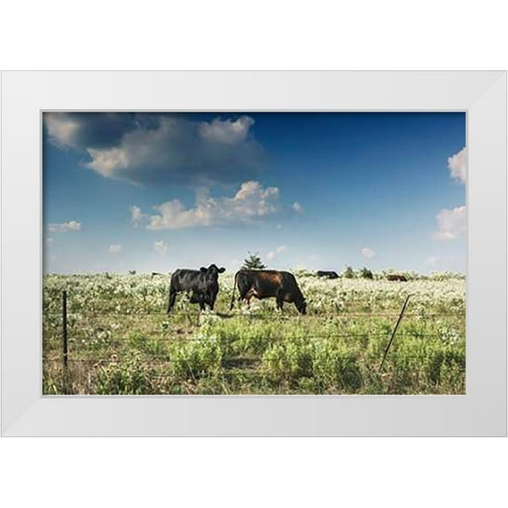 Highsmith, Carol 24x17 White Modern Wood Framed Museum Art Print Titled - Cows in a field of wildflowers in rural Hunt County near Greenville, TX