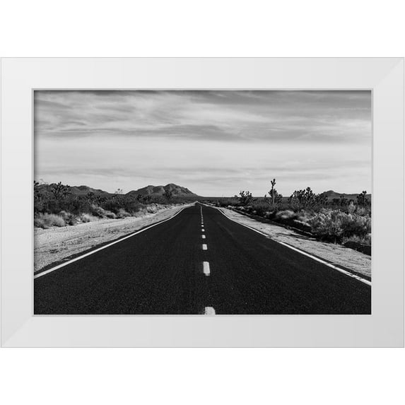 Highsmith, Carol 24x17 White Modern Wood Framed Museum Art Print Titled - Mojave National Preserve in California