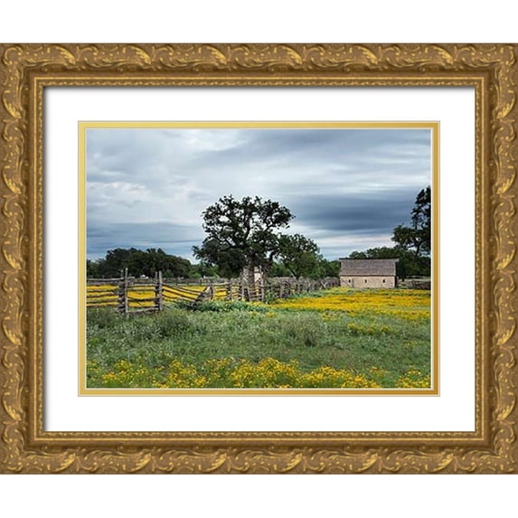 Highsmith, Carol 24x19 Gold Ornate Wood Framed with Double Matting Museum Art Print Titled - A beautiful wildflower array in a meadow in Johnson City, TX