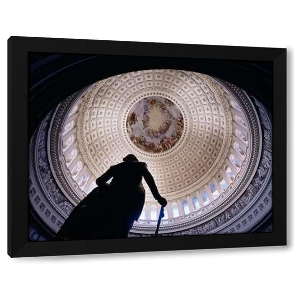 Carol Highsmith 24x20 Black Modern Wood Framed Wall Art Titled - U.S. Capitol dome, Washington, D.C.