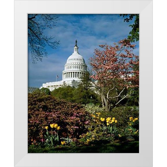Highsmith, Carol 26x32 White Modern Wood Framed Museum Art Print Titled - U.S. Capitol, Washington, D.C. Number 3