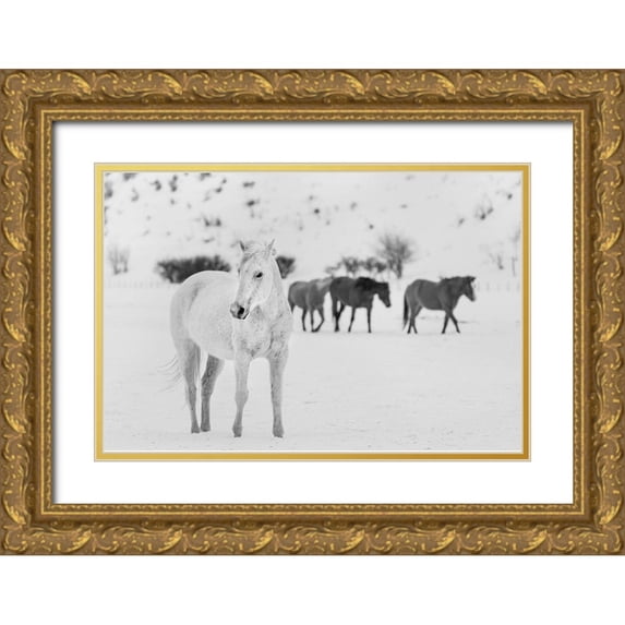 Highsmith, Carol 32x23 Gold Ornate Wood Framed with Double Matting Museum Art Print Titled - A mixed herd of wild and domesticated horses