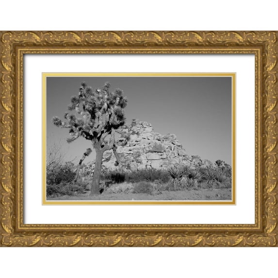 Highsmith, Carol 32x23 Gold Ornate Wood Framed with Double Matting Museum Art Print Titled - Joshua Tree National Park California