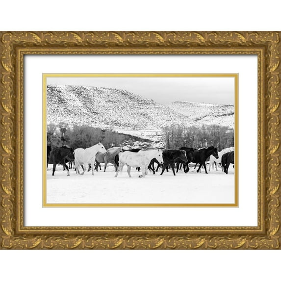 Highsmith, Carol 32x23 Gold Ornate Wood Framed with Double Matting Museum Art Print Titled - Wild Horses at the Wyoming-Colorado border