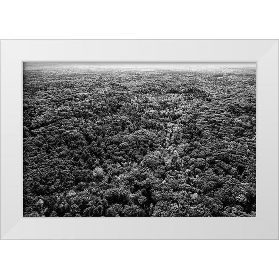 Highsmith, Carol 32x23 White Modern Wood Framed Museum Art Print Titled - Forests near Ogunquit-Maine