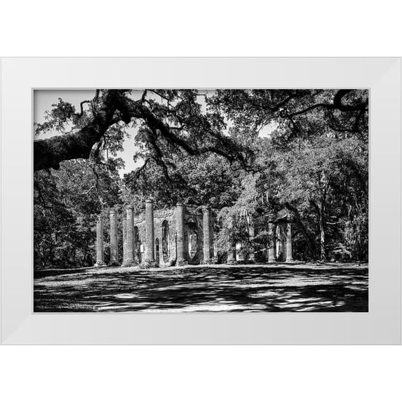 Highsmith, Carol 32x23 White Modern Wood Framed Museum Art Print Titled - The Old Sheldon Church Ruins-South Carolina