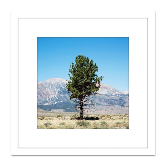 Highsmith Lone Tree Yosemite Landscape Photo 8X8 Inch Square Wooden Framed Wall Art Print Picture with Mount