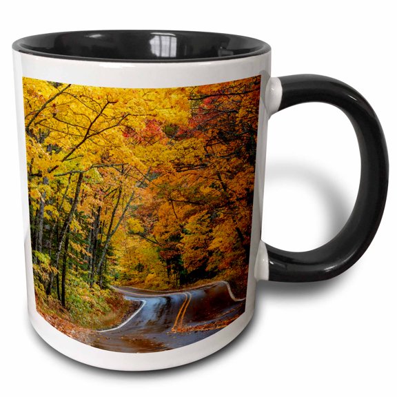 3drose, Highway 41 Covered Roadway, Copper Harbor, Upper Peninsula, Mi, Usa, 11oz Two-tone Black Mug