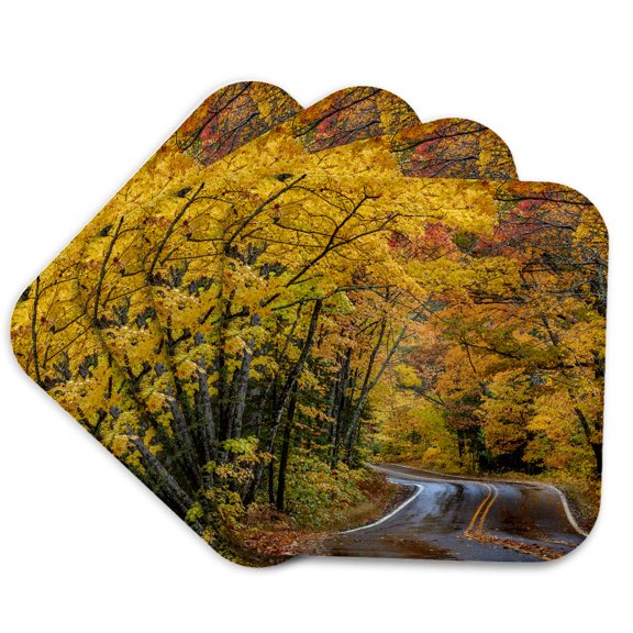 3drose, Highway 41 Covered Roadway, Copper Harbor, Upper Peninsula, Mi, Usa, Set of 4 Coasters - Soft