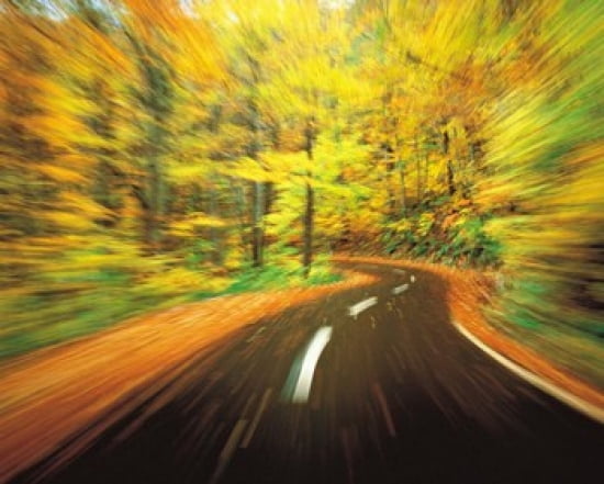 Highway amidst forest Canvas Art - Panoramic Images (36 x 29)