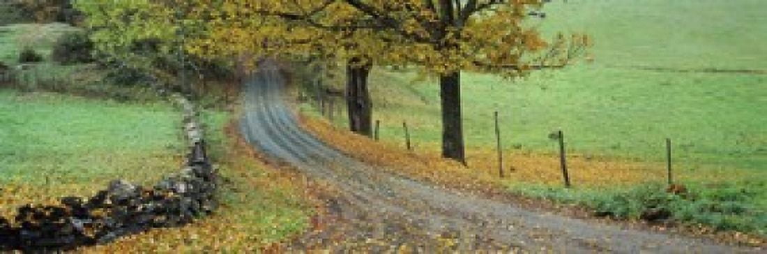 Highway passing through a landscape Old Kings Highway Woodstock Vermont USA Canvas Art - Panoramic Images (18 x 6)
