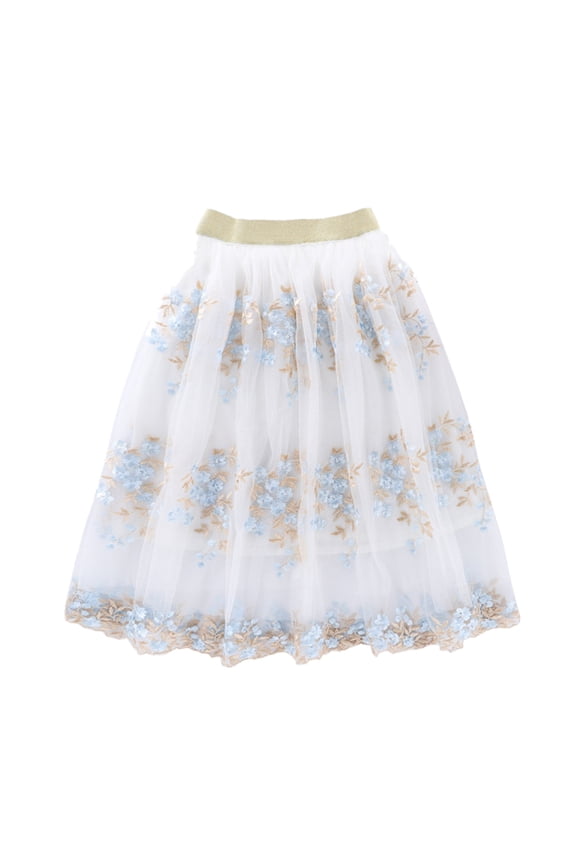 Big Girls Skirts Floral Embroidered Mesh Ballet Tutu Skirt Kids Dance Practice Performance Princess Party Skirt