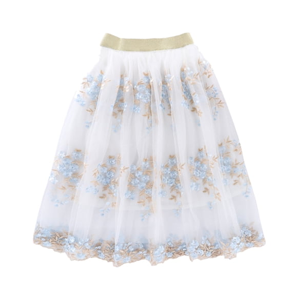 Hihipz Big Girls Skirts Floral Embroidered Mesh Ballet Tutu Skirt Kids Dance Practice Performance Princess Party Skirt