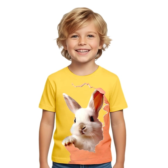 Hihipz Toddler Boys Easter T Shirt Short Sleeve Colorful Graphic Crew Neck Tee Tops Soft Casual Stylish Tshirt,Sizes 3-4