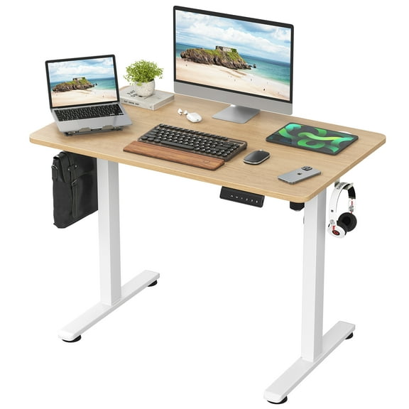 HiiKaa 41 x 24 in Electric Standing Desk,4 Memory Keys Height Adjustment,1B Series,One-Piece Black Top,Black Frame,Natural Top