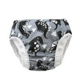 thumbnail image 1 of Hiijoy Baby Swimming Diaper Leak Proof Reusable Swim Shorts Cartoon Swimwear, 1 of 2