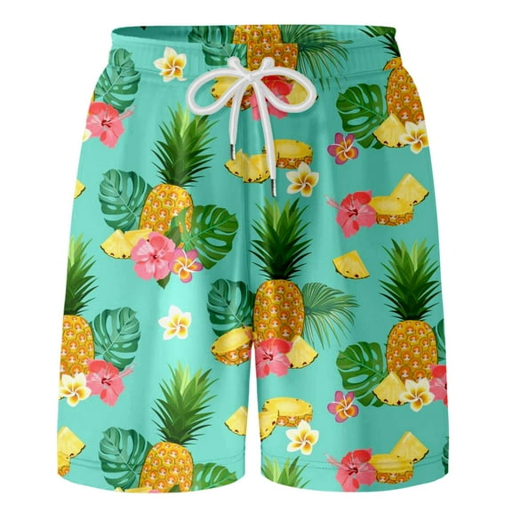 Hiijoy Big Boys Hawaii Beach Shorts Pineapple Print Holiday Elastic Waist Shorts, Sizes 8-9Y