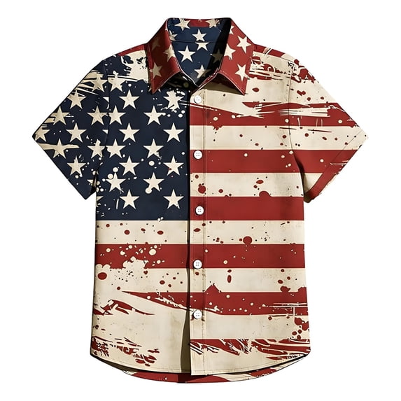 Hiijoy Boys Independence Day Short Sleeve Shirt Summer Button Down Shirt Top, Sizes 16-17