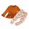 thumbnail image 1 of Hiijoy Girls Thanksgiving Outfits Party Long Sleeve Tshirt Floral Pants Set Kids Casual Clothes Set, 1 of 8