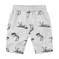 thumbnail image 1 of Hiijoy Infant Boys Dinosaur Cartoon Shorts Kids Cotton Casual Active Shorts, Sizes 1-7, 1 of 8