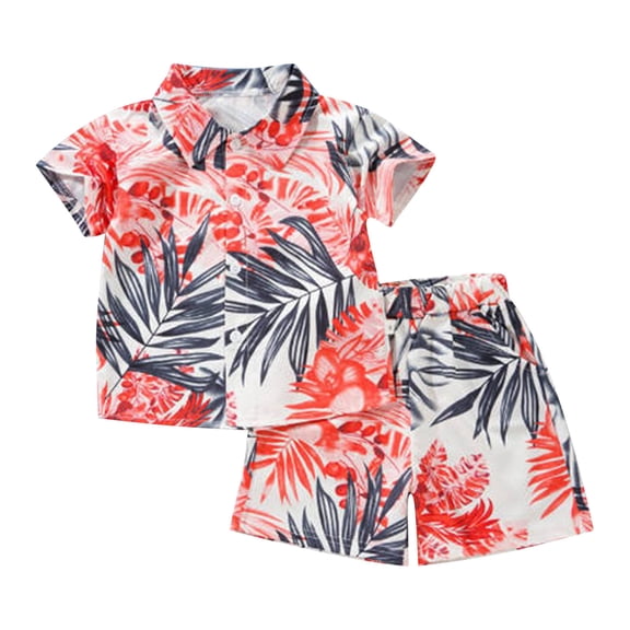 Hiijoy Infant Boys Hawaii Beach Outfits Tropical Print Short Sleeve Shirt Shorts Set, Sizes 12M-5T