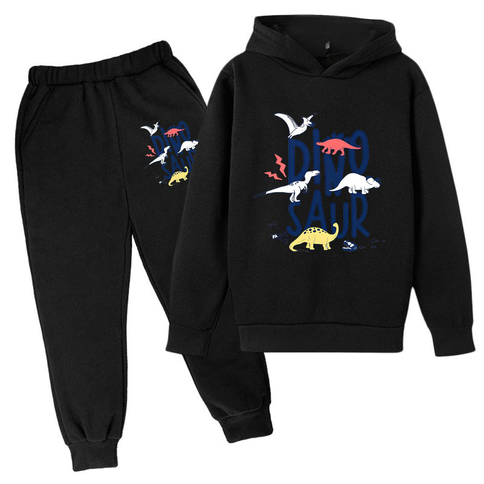 Hiijoy Little Girls Sweatsuit Letter Dinosaur Print Hoodie Sweatpants 