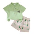 thumbnail image 1 of Hiijoy Newborn Boys Outfits Mallard Embroidery Short Sleeve Polo Shirt Shorts Set, Sizes 6-12M, 1 of 6
