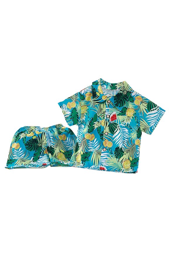 Newborn Boys Summer Beach Outfits Tropical Print Button Down Shirt & Shorts Set, Sizes 6-12M