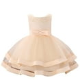 thumbnail image 1 of Hiijoy Newborn Girls Wedding Party Princess Dress Sleeveless Pageant Gown, Sizes 0-18M, 1 of 8