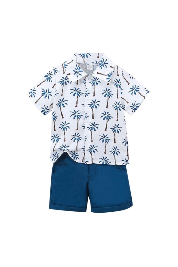 Toddler Boys Hawaii Outfits Coconut Tree Printed Short Sleeve Shirt & Shorts Set, Sizes 12M-5T