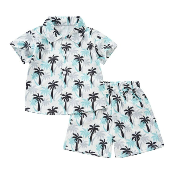 Hiijoy Toddler Boys Hawaii Vacation Outfit Short Sleeve Beach Shirt Shorts Set, Sizes 12M-5T