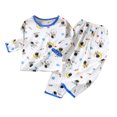 thumbnail image 1 of Hiijoy Toddler Boys Pajamas Cute Cartoon Long Sleeve T-Shirt Pants Sleepwear, Sizes 4-5T, 1 of 3