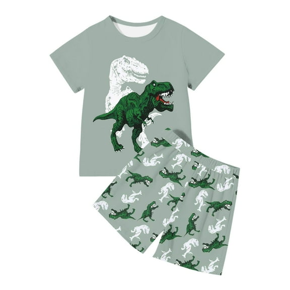 Hiijoy Toddler Boys Pajamas Dinosaur Print T Shirt and Shorts Outfits Homewear, Sizes 3-4T