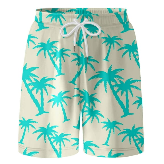 Hiijoy Tween Boys Hawaii Beach Shorts Holiday Coconut Tree Prints Pull-On Shorts, Sizes 14-16Y