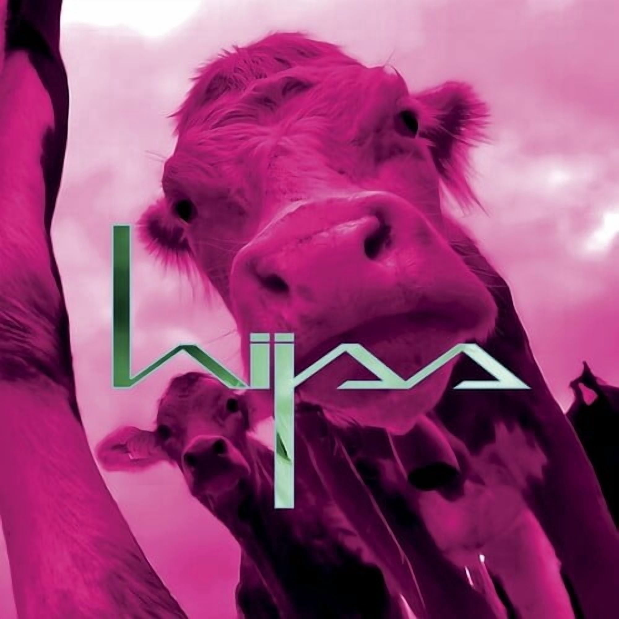 Hijss - Hijss - Music & Performance - Vinyl