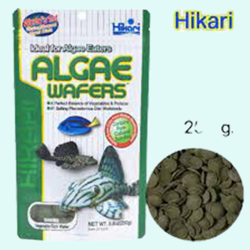Hikari Algae Wafers for Pets