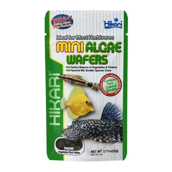 Hikari USA Algae Wafers Sinking Wafer Fish Food, 0.77 oz, Mini