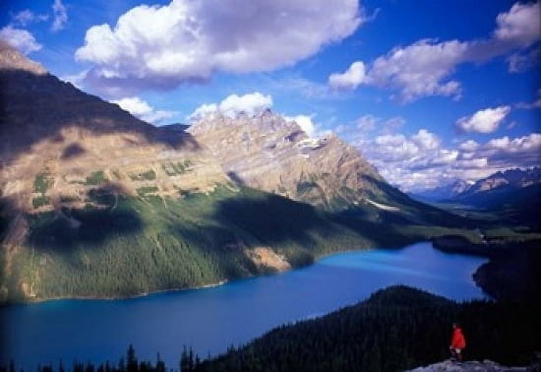 Hiker Overlooking Peyto Lake Banff National Park Alberta Canada Canvas Art - Janis Miglavs DanitaDelimont (17 x 11)