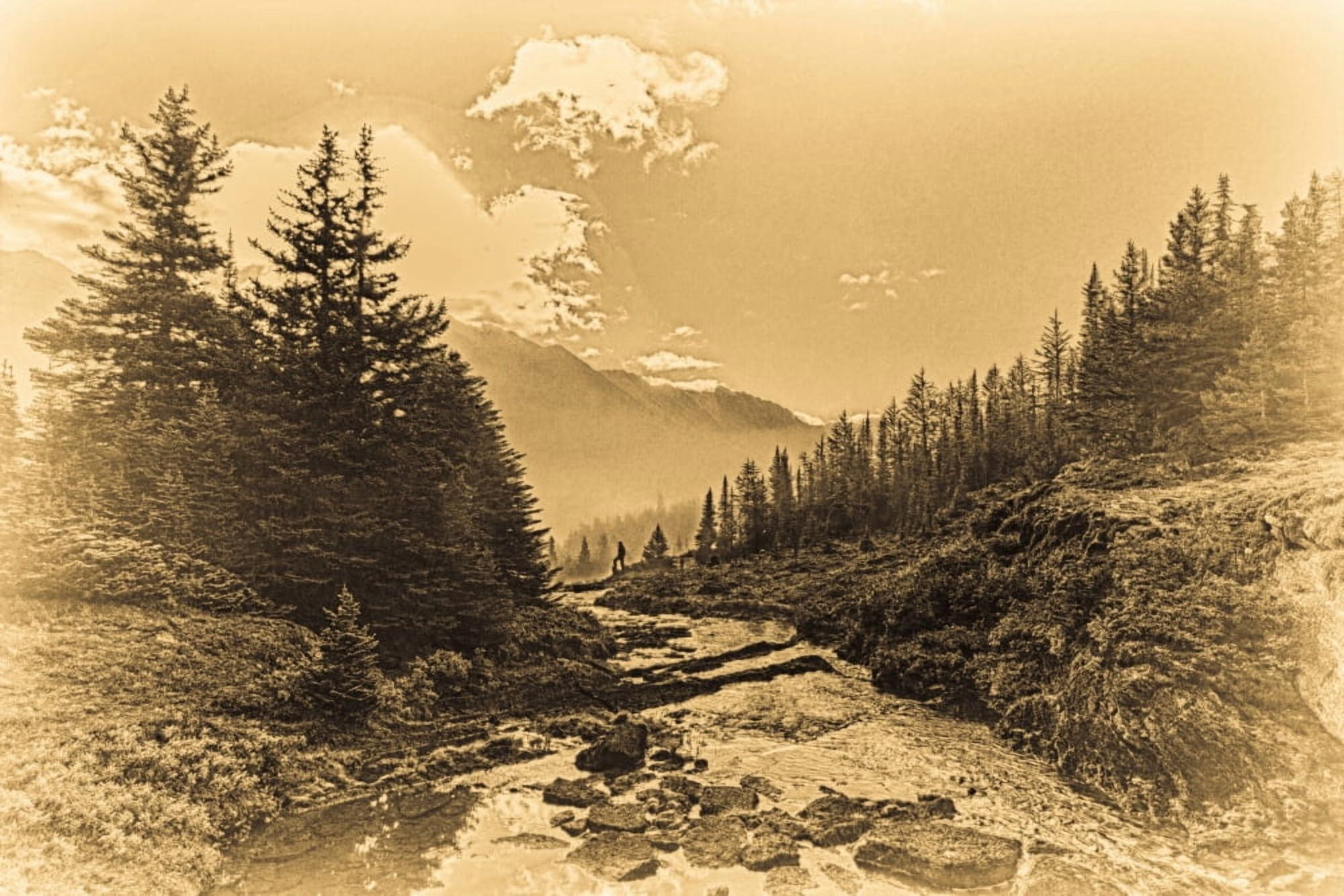 A Hiker Stands By Brook As Sunrise Burns Through The Mist In The Skoki Wilderness In Banff National Park Banff Alberta Canada Canvas Art - Ron Watts Design Pics (18 x 12)