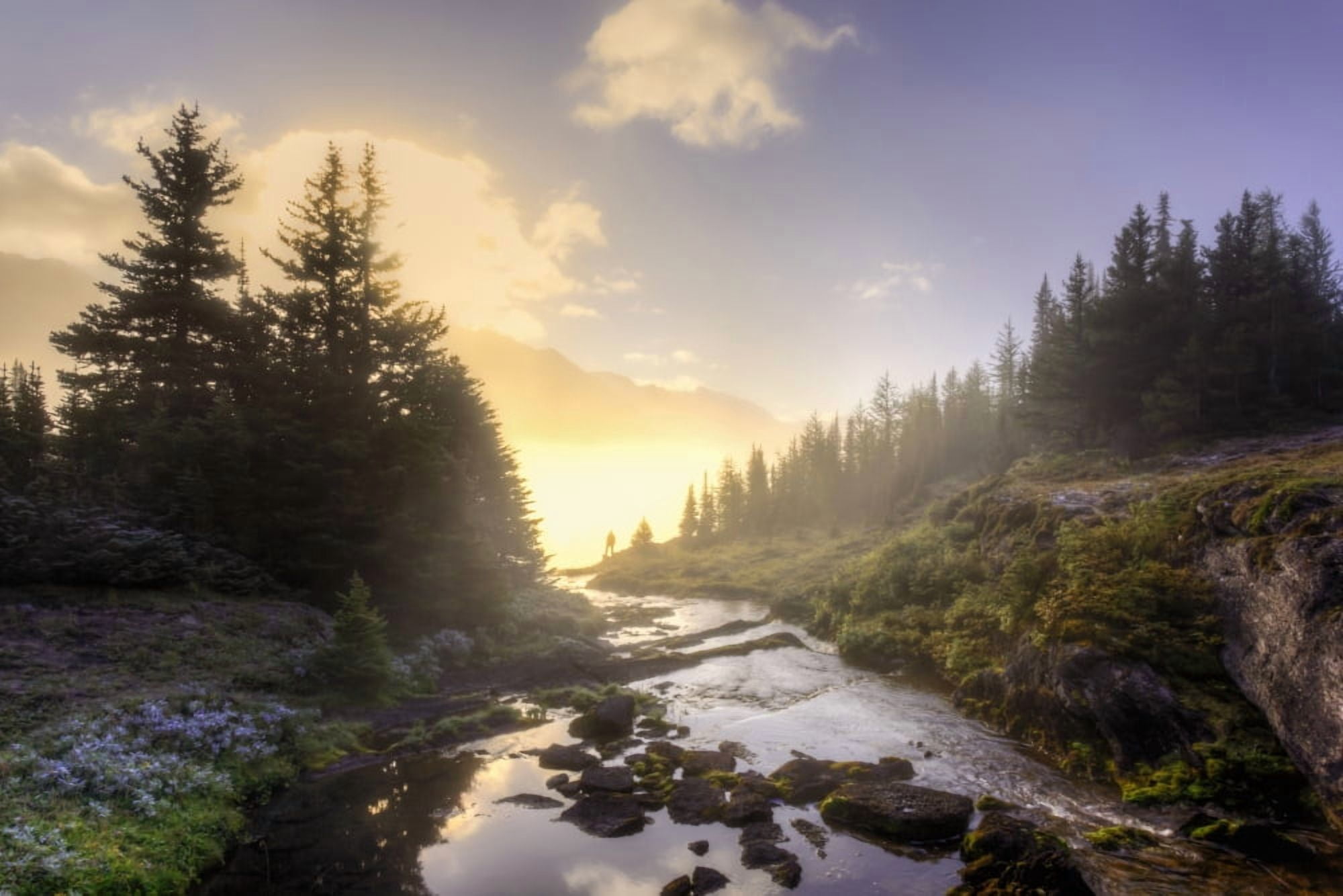 A Hiker Stands By Brook As Sunrise Burns Through The Mist In The Skoki Wilderness In Banff National Park Banff Alberta Canada Canvas Art - Ron Watts Design Pics (36 x 24)
