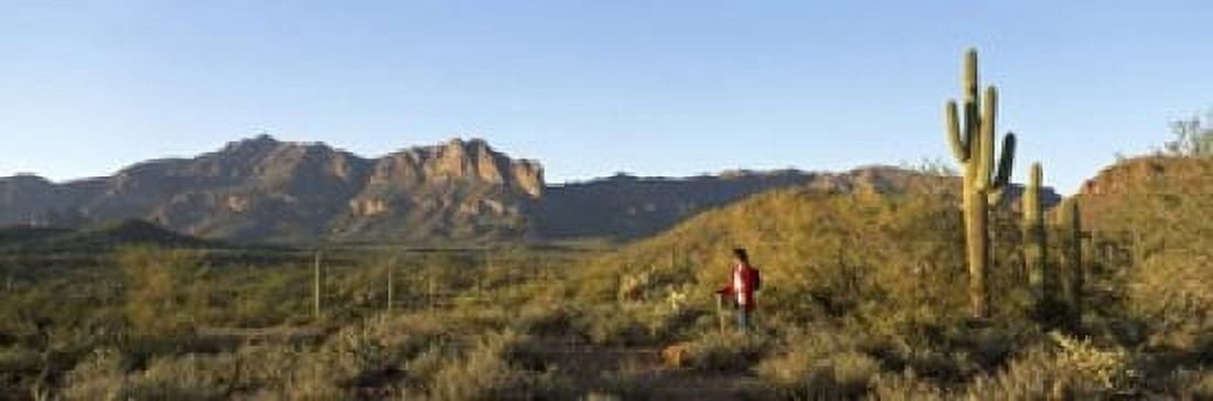 Hiker standing on a hill Phoenix Arizona USA Canvas Art - Panoramic Images (18 x 6)