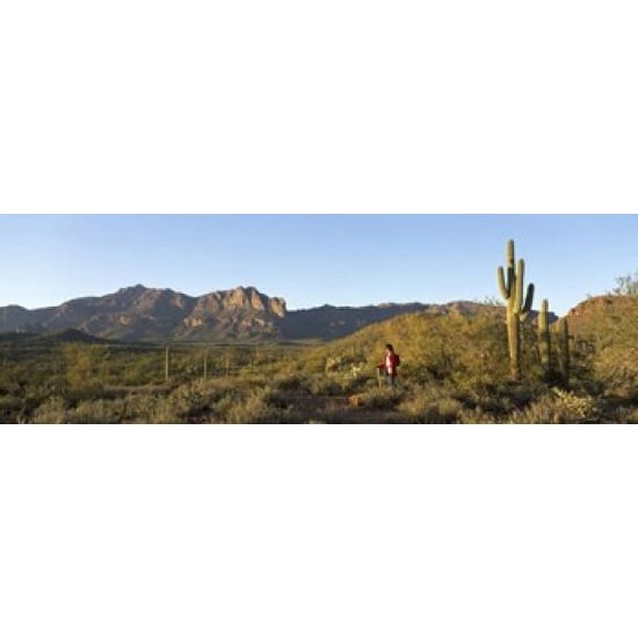 Hiker standing on a hill Phoenix Arizona USA Canvas Art - Panoramic Images (18 x 6)