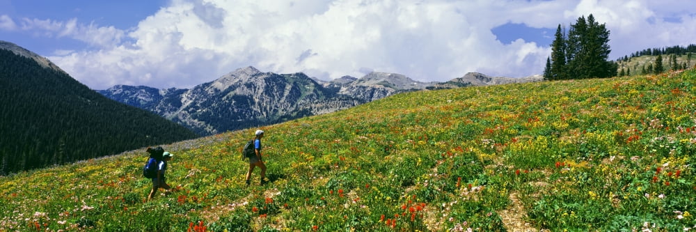 Hikers in a meadow South Fork Granite Canyon Grand Teton National Park Wyoming USA Canvas Art - Panoramic Images (27 x 9)