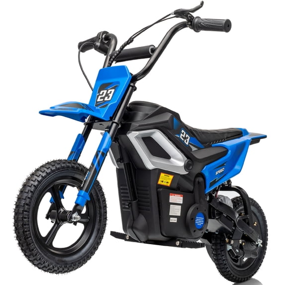 Hikiddo 24V Electric Dirt Bike, 250W Kids Ride on Toys for Kids 6-12, w ...
