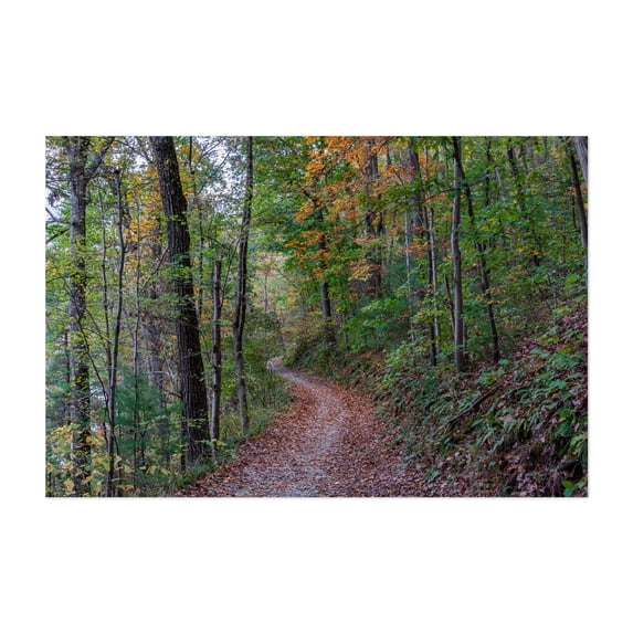 Hiking to the Lake on a Beautiful Autumn Afternoon - Pennsylvania Photography Forest Autumn Woodland Nature Scenic Landscape Wilderness Unframed Wall Art Print 16 x 24 inches