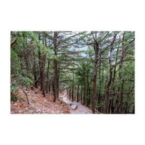 Hiking the Thousand Steps Trail on a Winter Day - Mapleton Pennsylvania Photography Forest Woodland Nature Scenic Wilderness Landscape Unframed Wall Art Print 4 x 6 inches