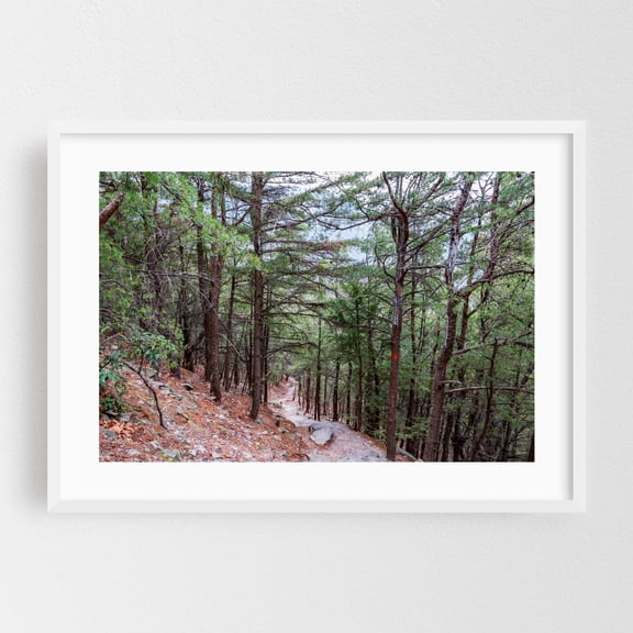 Hiking the Thousand Steps Trail on a Winter Day - Mapleton Pennsylvania Photography Forest Woodland Nature Scenic Wilderness Landscape White Framed Wall Art Print 5 x 7 inches
