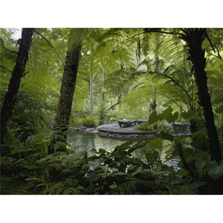 Hiking Trail Bali Indonesia Poster Print - Large