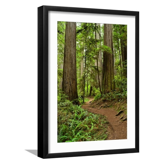 Art.com Hiking Trail I Photographic Print by Brian Moore, Black Frame Wall Art, 17" x 23"